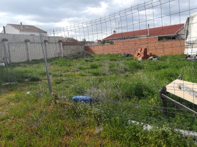 albergue